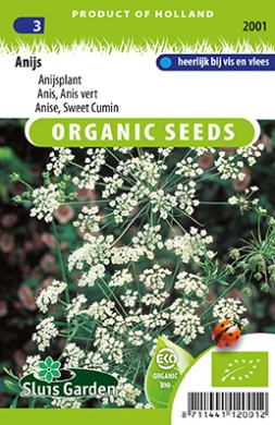 Anise, Anis (Pimpinella anisum) 300 seeds
